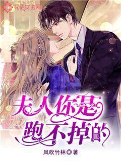 屠龙破晓